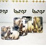 سینی 