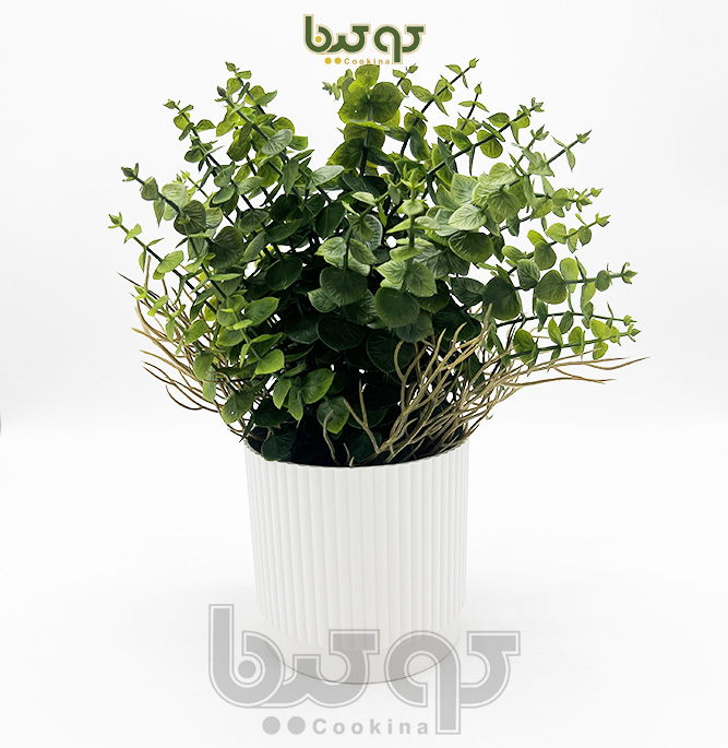 خانه
